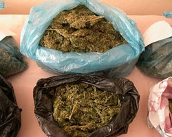 Yelkenlide 1,3 ton esrar yakalandı