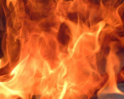 Meksika'da casino saldırısı: En az 51 ölü