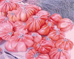 İsrail domatesine karşı ''pembe domates''