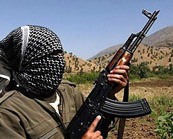 PKK kamyon şoförünü kaçırdı