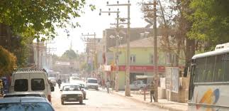 "Ceylanpınar için yeni tedbir almaya gerek yok"