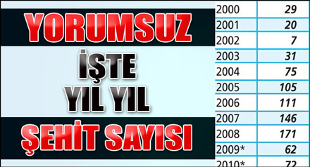 İşte yıl yıl şehit sayısı