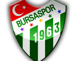 Bursaspor'da kaza şoku