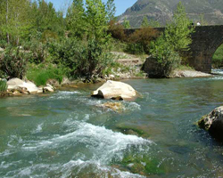 Bakamadığı 3 kızını nehre attı