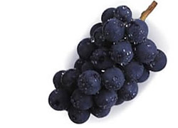 Kuru Meyve Tanıtım Grubu sayesinde üzüm ihracatı artacak
