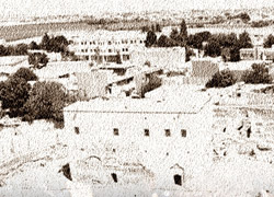 Meyvesi Zehirli Bahçe