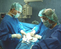 Organları 6 kişiye hayat verecek