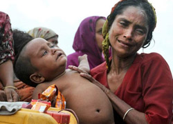 Dünya Arakan'a sessiz