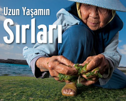 Uzun ve sağlıklı yaşamanın sırrı