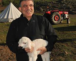 Gül'e kuzu hediye ettiler