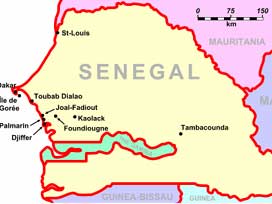 Senegal'de anayasa savaşı: 102 yaralı