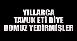 Tavuk eti diye domuz yedirmişler