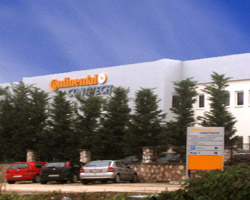"Türkiye güvenimizi boşa çıkarmadı"