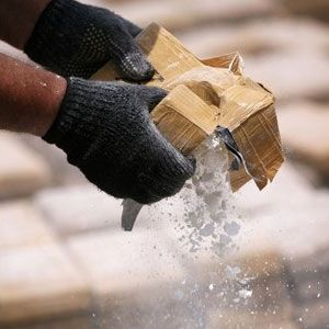 Arnavutluk'ta uyuşturucu operasyonu  
