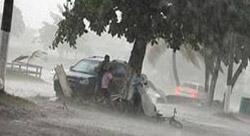 Küf mantarı ABD'de ölümlere sebep oluyor