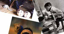 Unicef: Suriye'de 30 çocuk öldürüldü