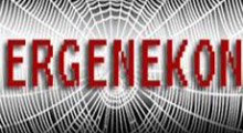 MHP'de Demirel ve Ergenekon etkisi