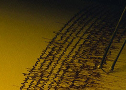 İran'da deprem