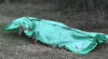 Hindistan'da kaybolan eyalet başbakanının cesedine ulaşıldı