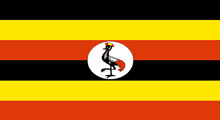 Uganda'da muhalif lider tutuklandı