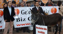 Ak Parti'de eşekli eylem yapan aday!
