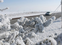 Erzurum -26'yı Gördü