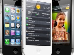 Uyurken Denek Olabilirsiniz