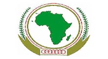 Afrika Birliği Libya'yı görüşüyor!