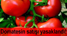 Domatesin satışı yasaklandı!