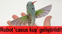 Robot 'casus kuş' geliştirildi!