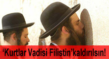 "Kurtlar Vadisi-Filistin"gösterimden kaldırılsın