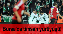 Bursaspor'dan timsah yürüyüşü!