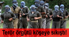 Terör örgütü köşeye sıkıştı!