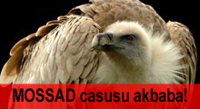 'MOSSAD casusu' akbaba yakalandı