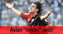 Aslan ''miyav'' dedi!