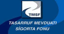 TMSF'den Hazine'ye 433 milyon dolarlık ödeme