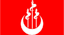Resmi dilimiz Türkçe'dir, ikinci dil kabul edilemez