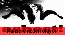 Kansere neden olan asbest yasaklandı