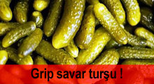 Grip savar turşu 3 ciddi hastalık için de önleyici
