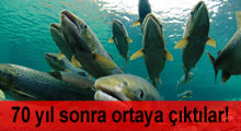 Nesli tükendiği düşünülen balık yeniden görüldü!