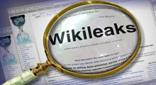 Wikileaks taraftarının intikamı!