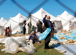 145 bine dayandı