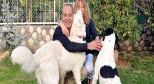Bekir Coşkun'ların anlamadığı nokta!