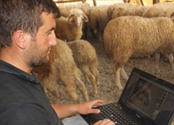 Kurban satışında 'Teknoçoban' devri