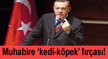 Hürriyet muhabirine "kedi-köpek" fırçası!