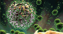 Hiv bağışıklığının anahtarı bir protein mi?