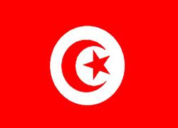 Tunus'ta 2013'teki seçimlerin tarihi açıklandı