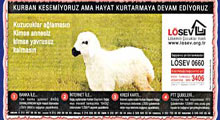 LÖSEV’in kurban istismarı