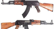 PKK'nın 10 keleşi ele geçiridi