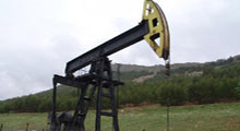 OPEC petrol talebini revize etti